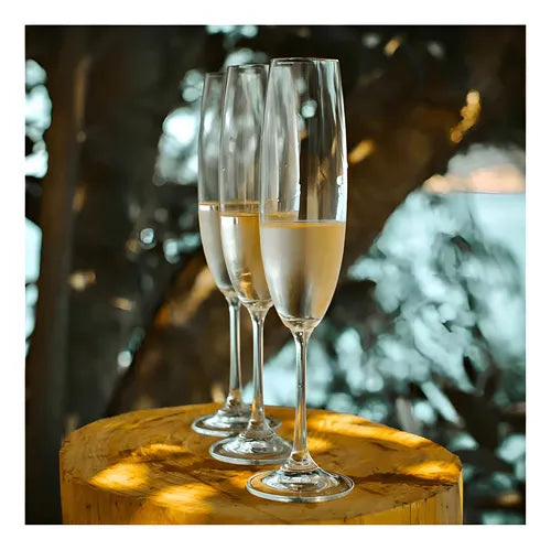 Conjunto Elegance 6 Taças – Cristal Bohemia Titanium para Champanhe 220ml