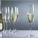 Conjunto Elegance 6 Taças – Cristal Bohemia Titanium para Champanhe 220ml